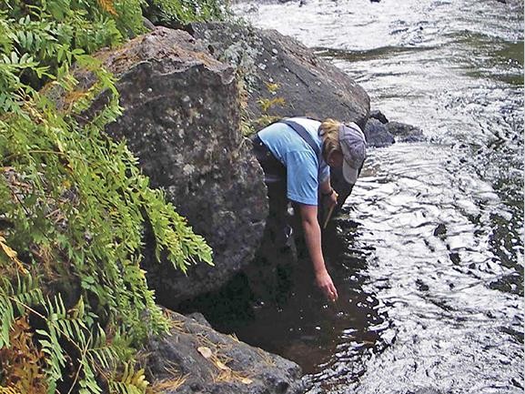 HOBO野外戶外溫度相對濕度光照度監(jiān)測自動記錄解決方案記錄儀總覽表