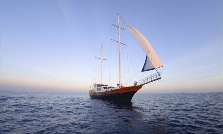 ף�R�҇��ɹ������׿��pģʽ���Ì�(d��o)�����_(d��)�����(n��i)��Ͷ���Ј�