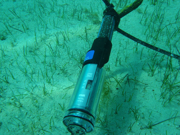 HOBOˮ�ض�ӛ䛃x��(y��ng)�����غ�ˮ�­h(hu��n)���O(ji��n)�y�ɹ�����